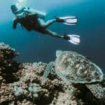 Luxury Diving in Riviera Nayarit: A Millionaire’s Guide