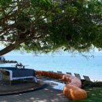 Explore the stunning architecture of Mexico’s finest villas with Azore Boutique Rentals — where design and destination meet in harmony.