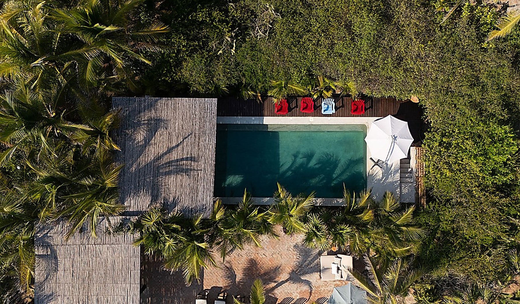 foto_guajes_upscaled